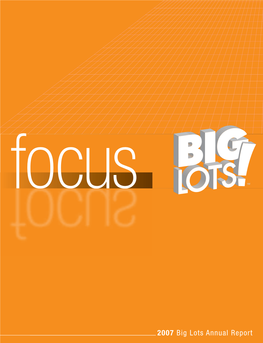 2007 Big Lots Annual Report