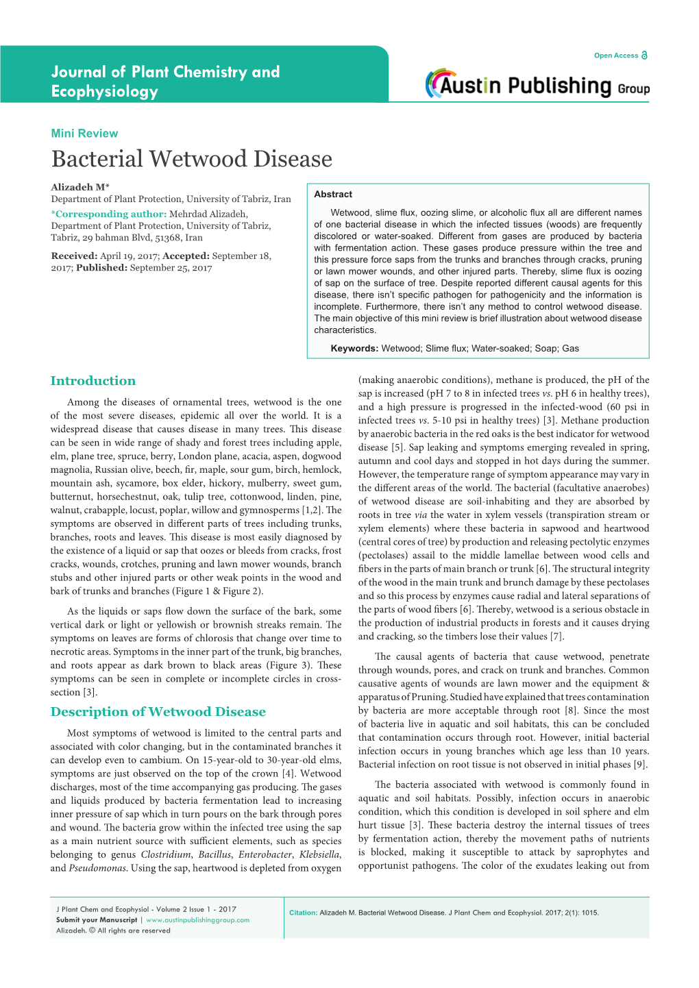 Bacterial Wetwood Disease