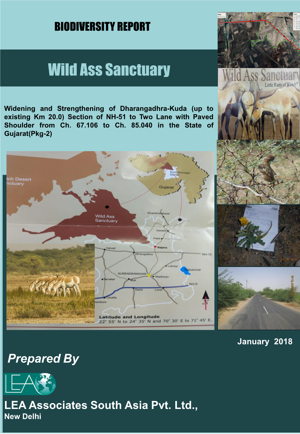 Wild Ass Sanctuary