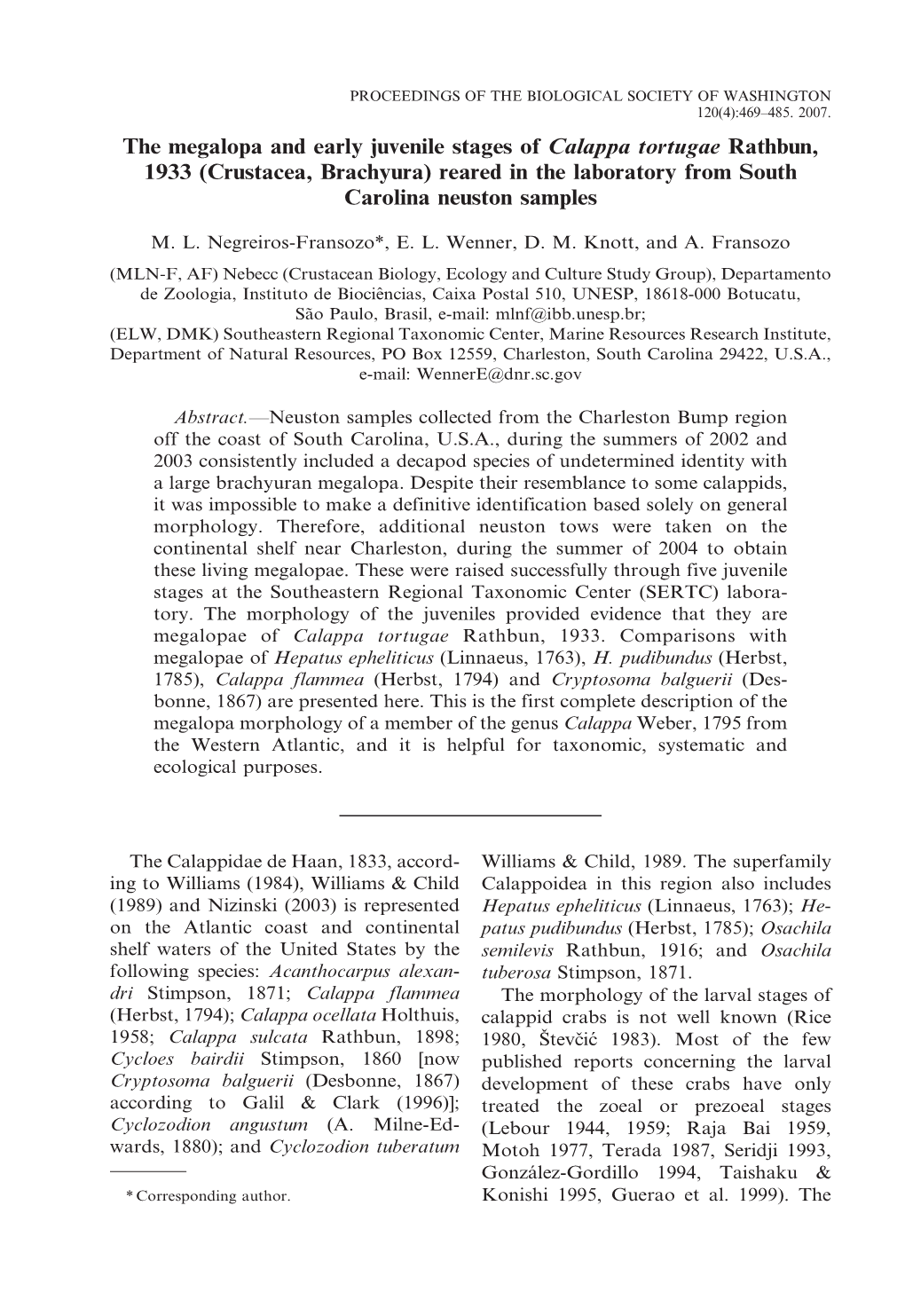 The Megalopa and Early Juvenile Stages of Calappa Tortugae Rathbun, 1933 (Crustacea, Brachyura) Reared in the Laboratory from South Carolina Neuston Samples