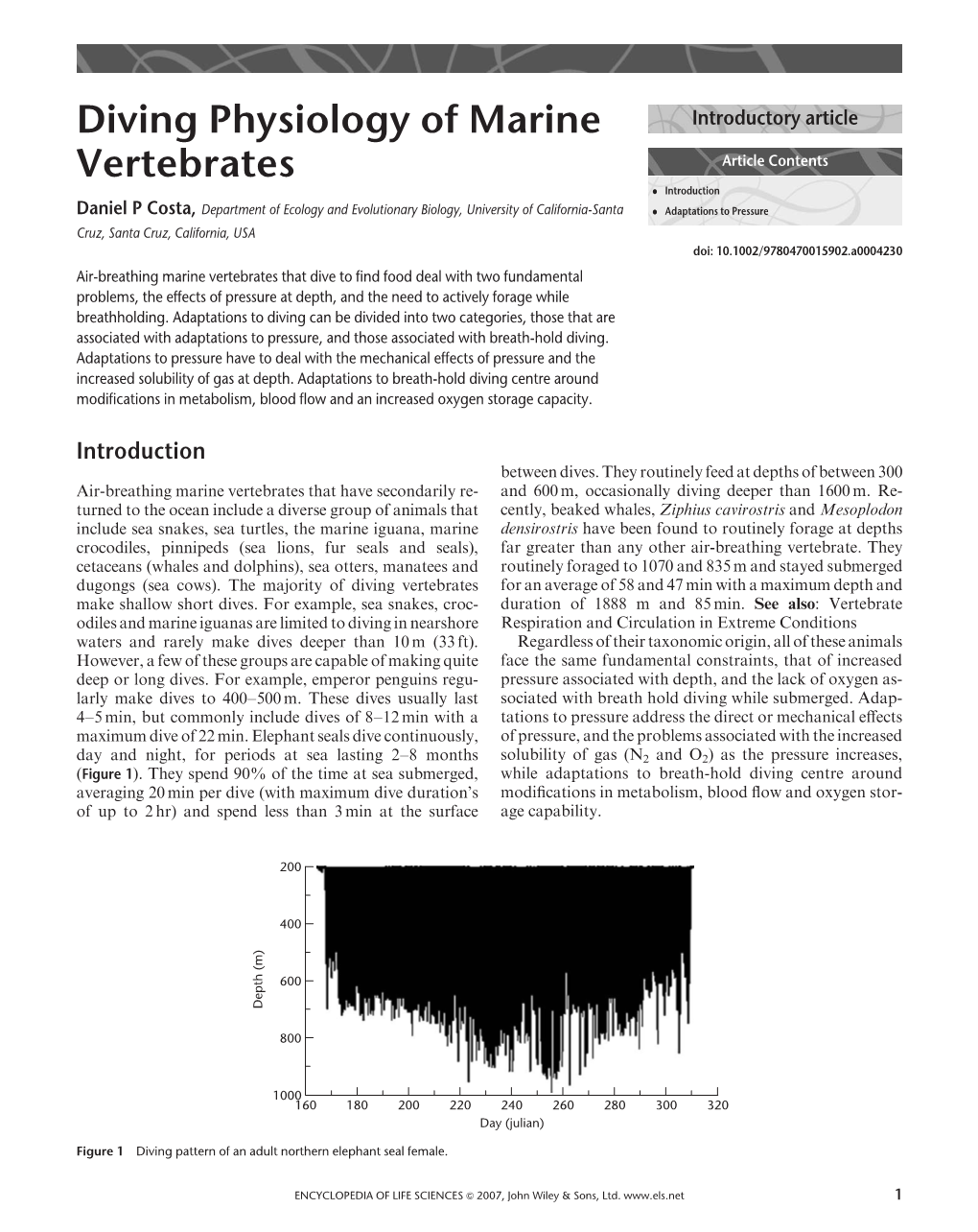 Diving Physiology of Marine Vertebrates