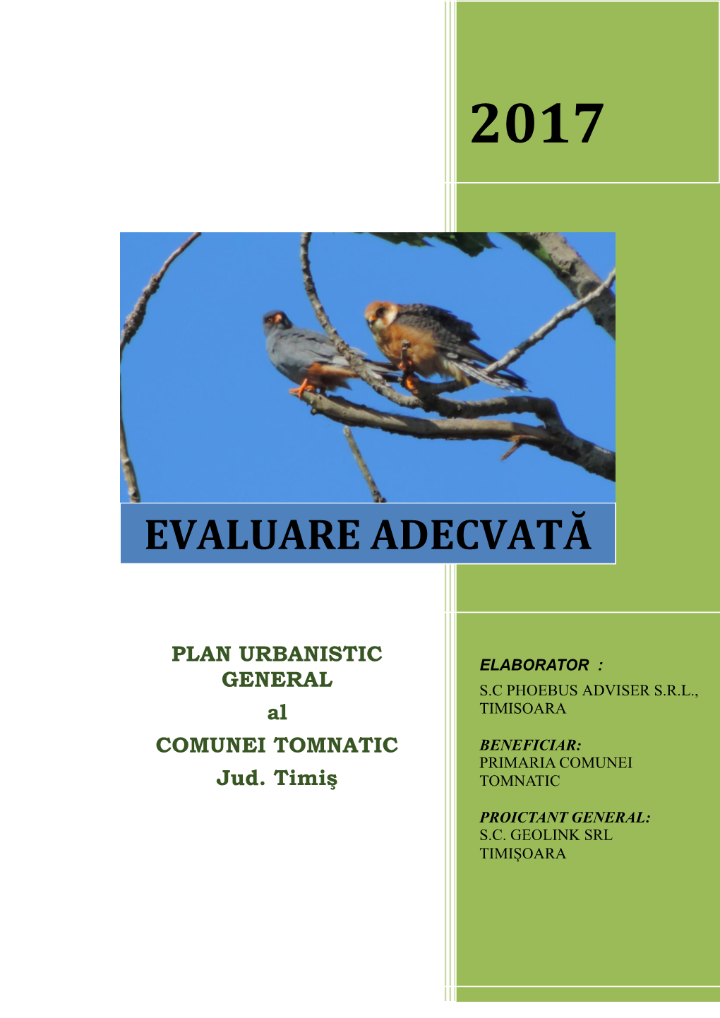 Evaluare Adecvată