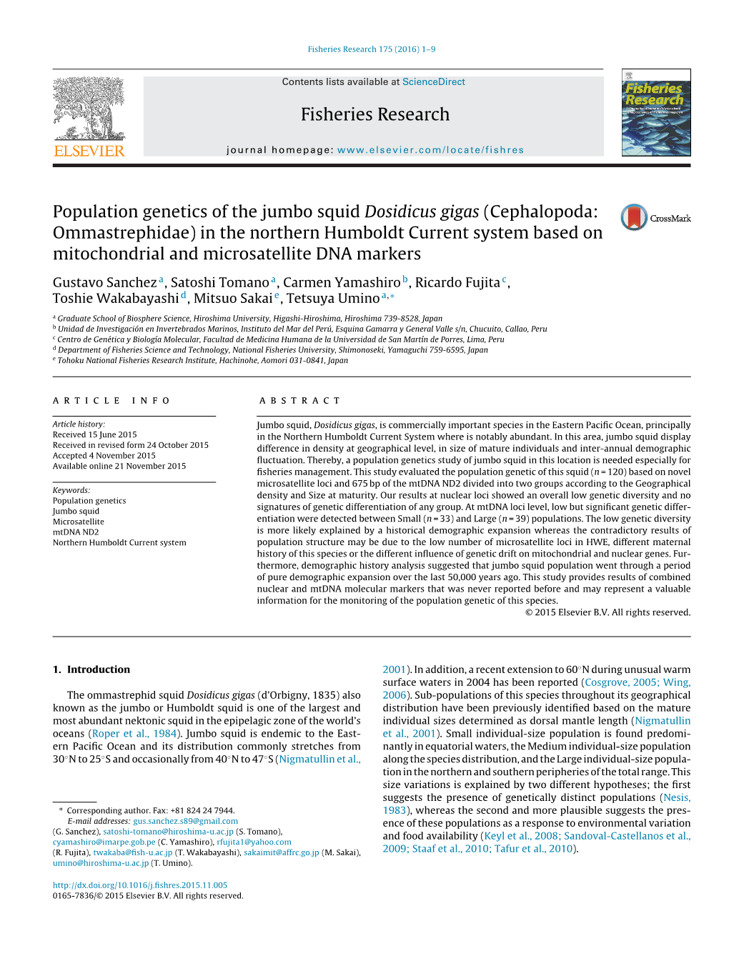 Population Genetics of the Jumbo Squid Dosidicus Gigas (Cephalopoda