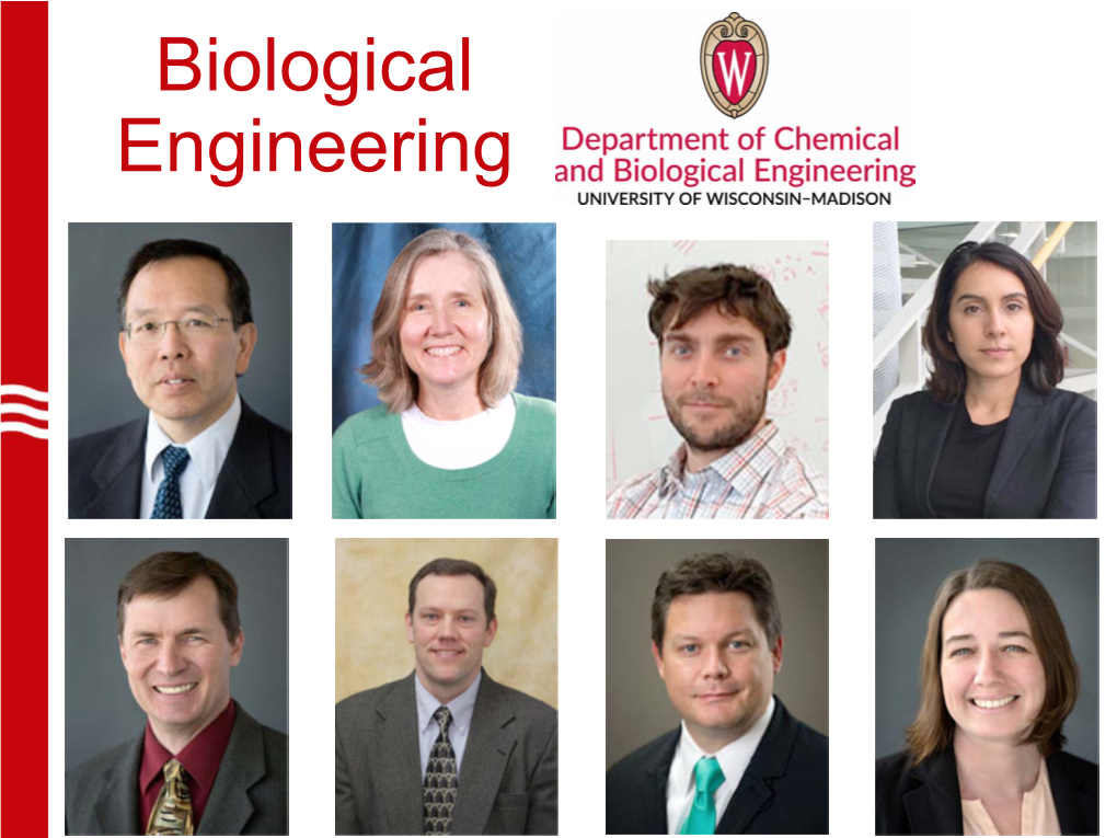 Biological Engineering