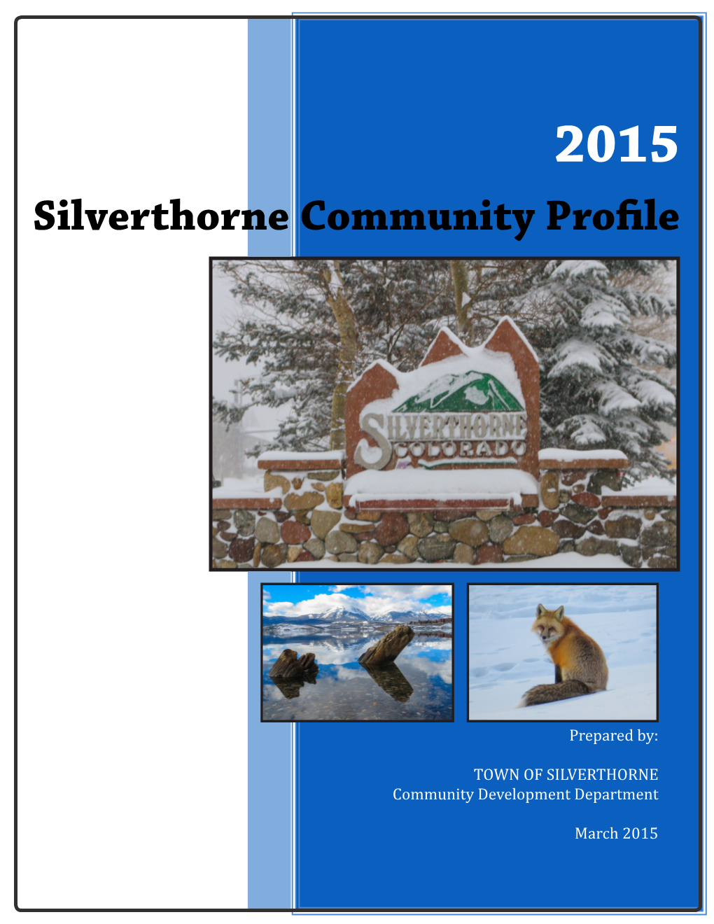 Silverthorne Community Profile