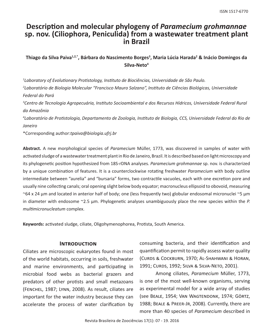 Description and Molecular Phylogeny of Paramecium Grohmannae Sp. Nov