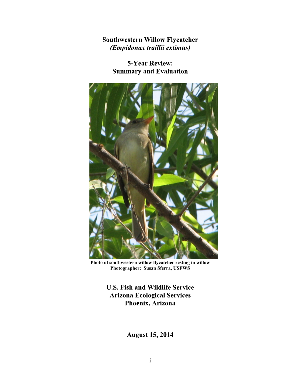 Southwestern Willow Flycatcher 5-Year Review