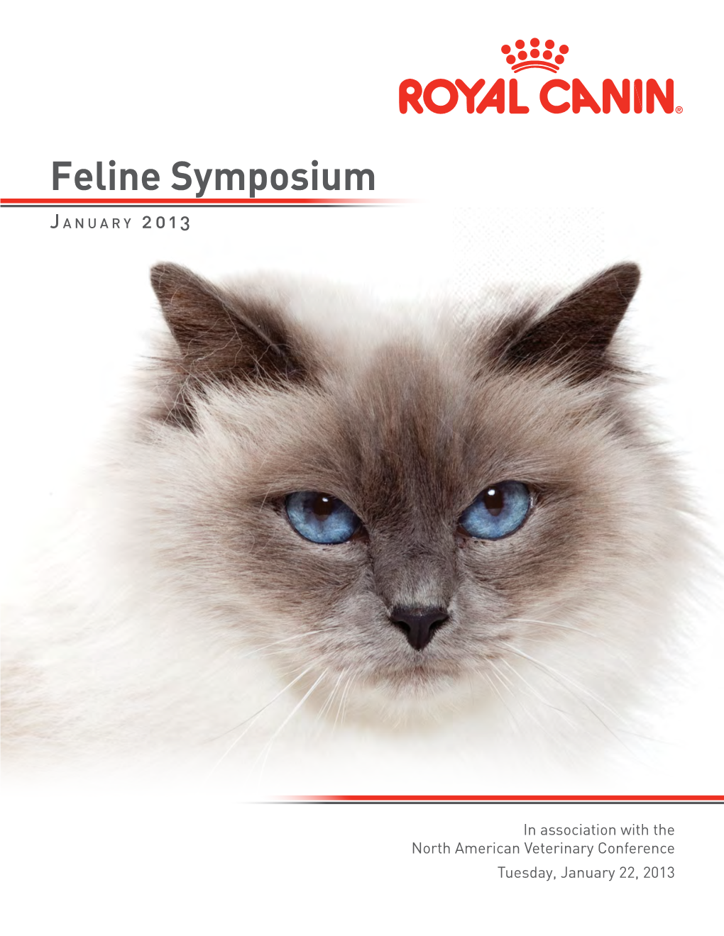 Feline Symposium