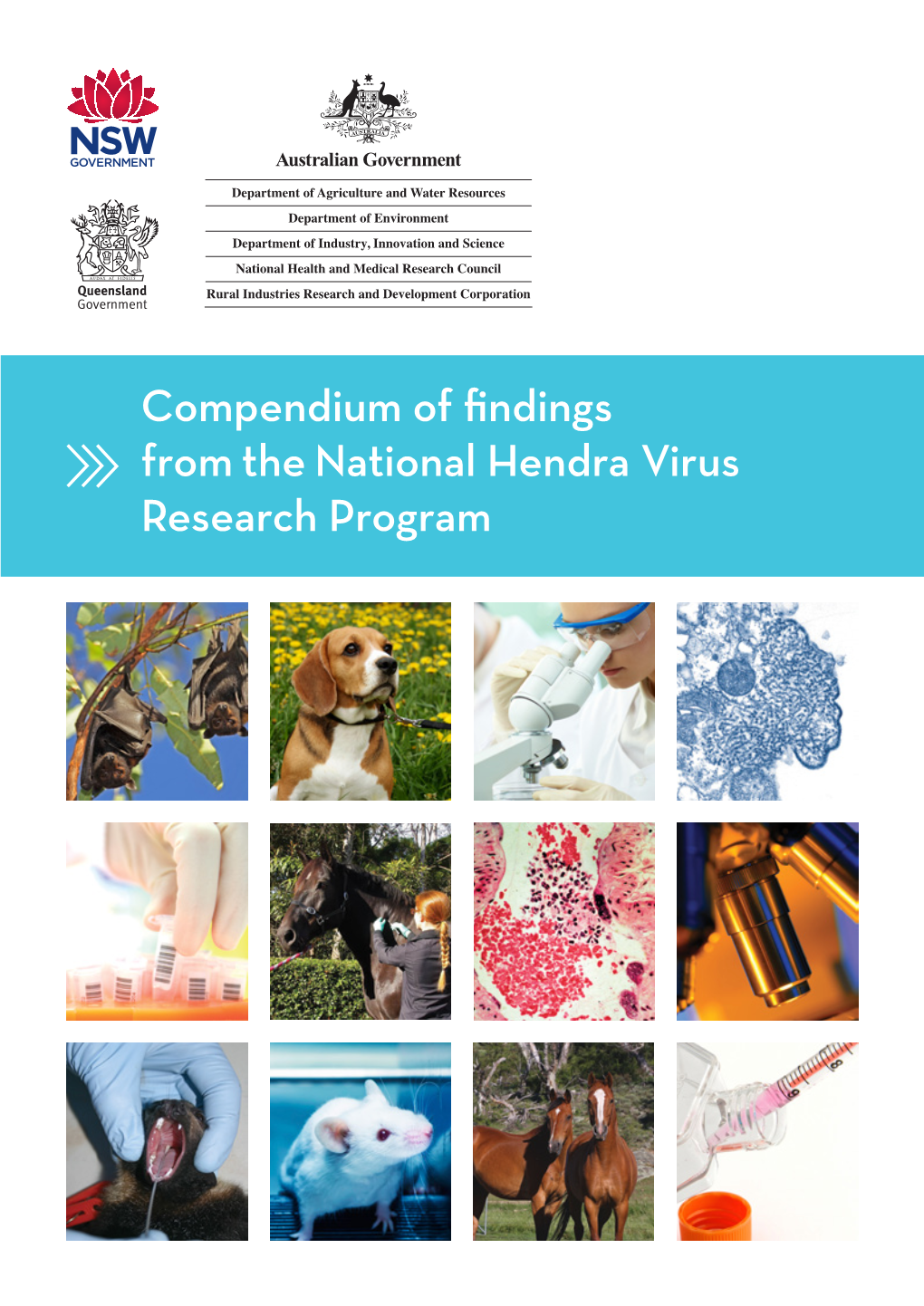 Compendium of Findings from the National Hendra Virus Research Program COMPENDIUM of FINDINGS from the 2 NATIONAL HENDRA VIRUS RESEARCH PROGRAM