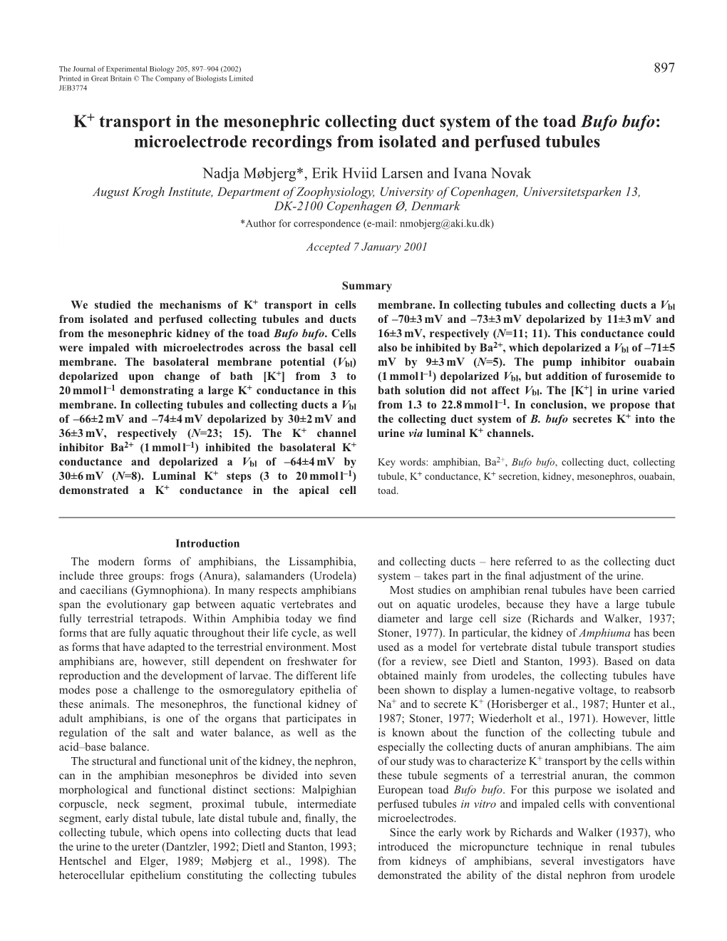 K+ Transport in Toad Perfused Collecting Tubules and Ducts 899