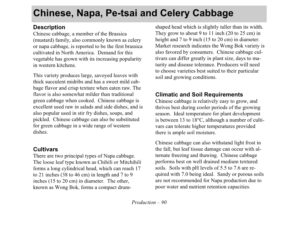 Chinese, Napa, Pe-Tsai and Celery Cabbage