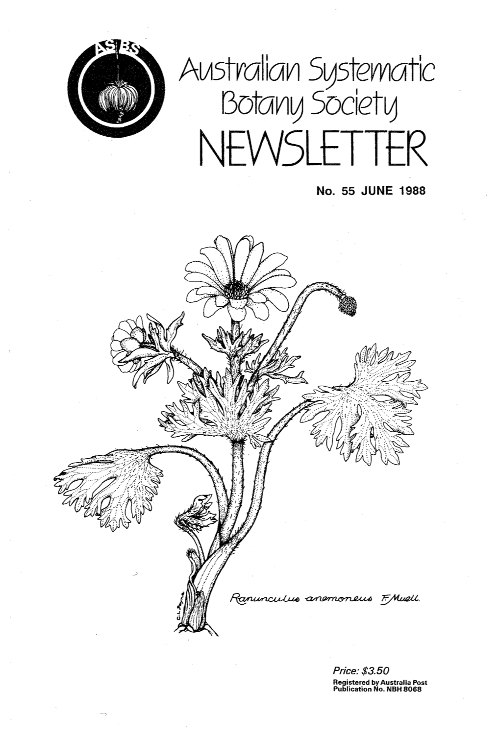 NEWSLETTER No