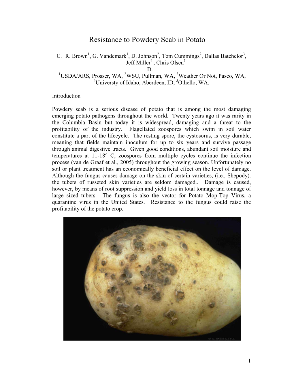 Resistance to Powdery Scab in Potato