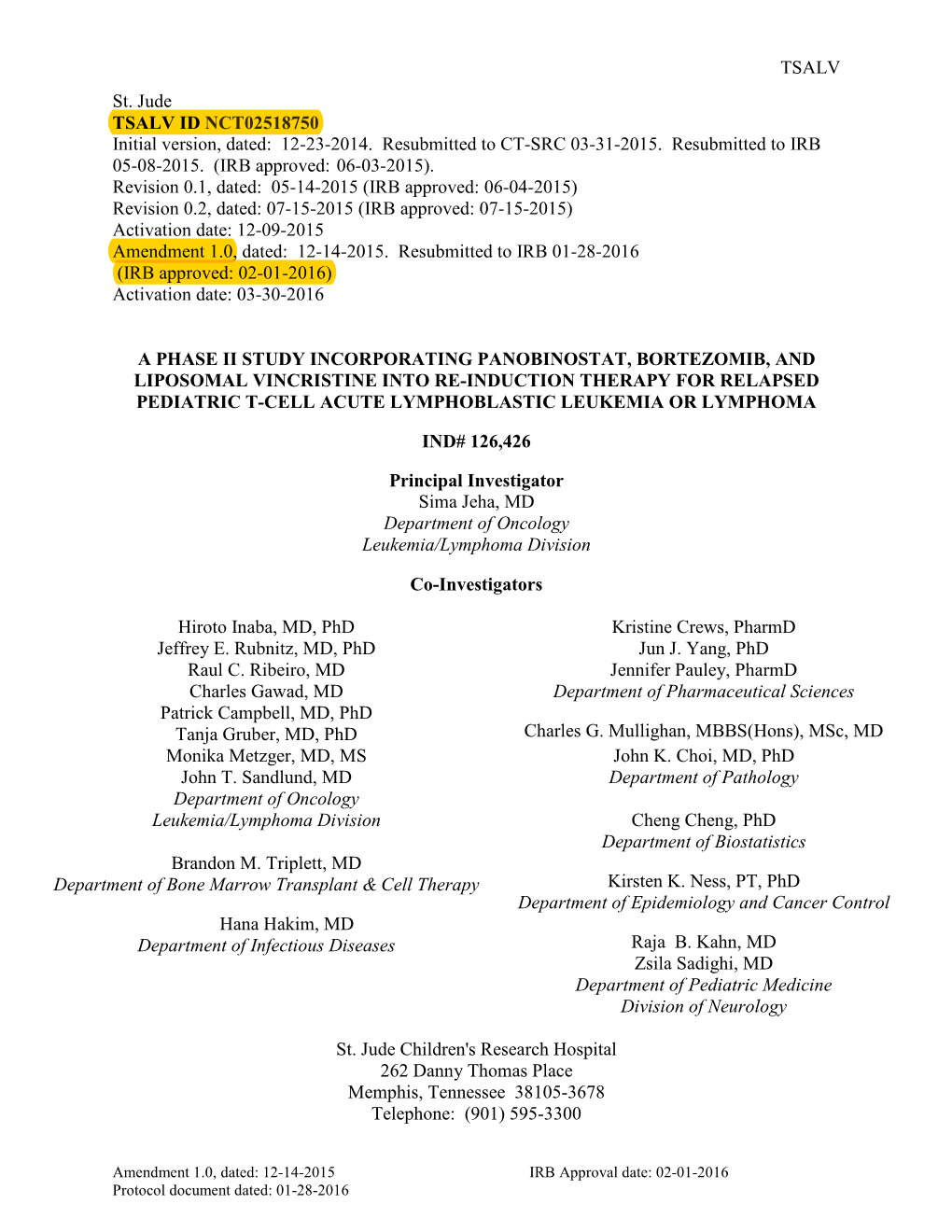 Instructional Template for Therapeutic Protocol