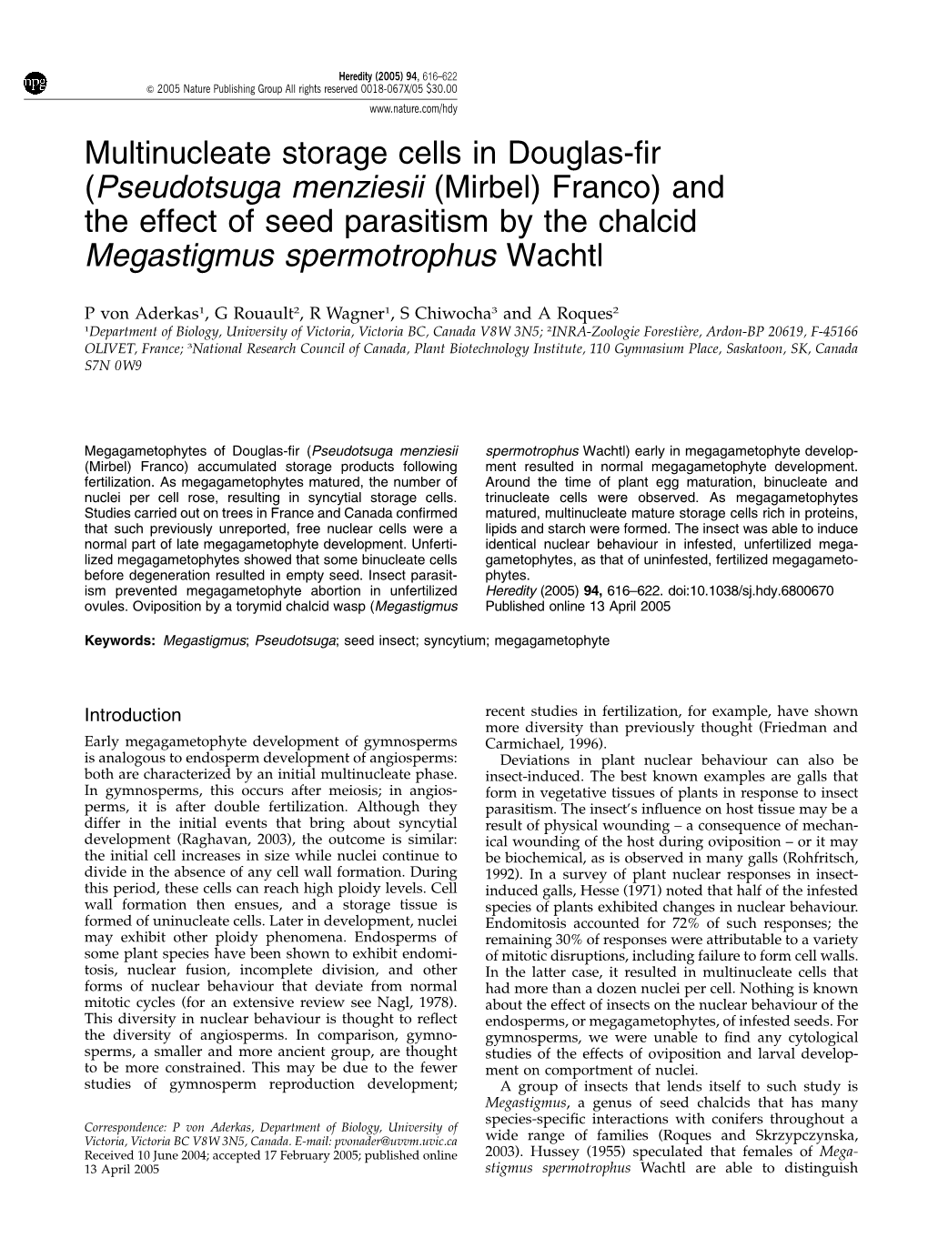 Multinucleate Storage Cells in Douglas-Fir