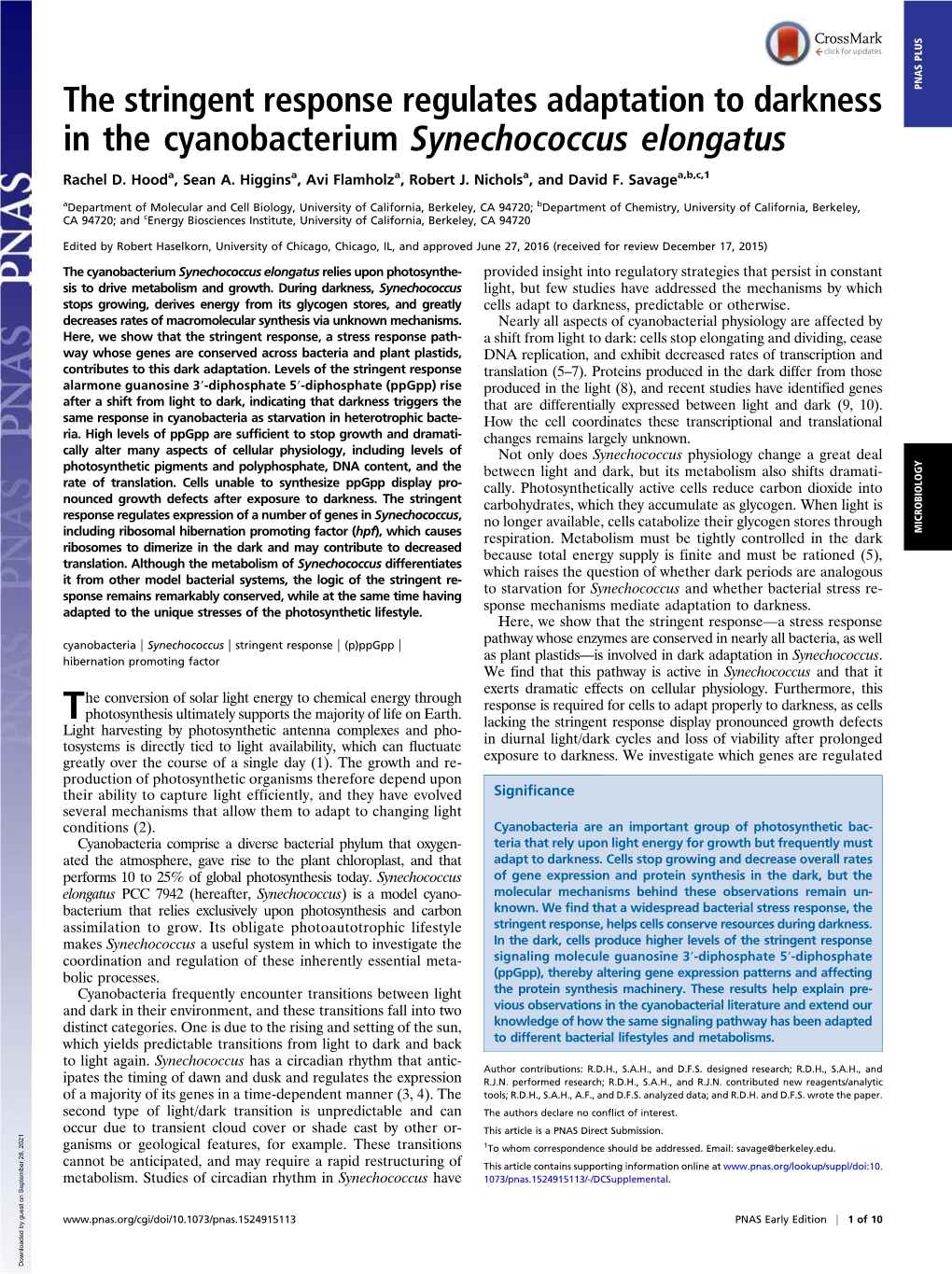 The Stringent Response Regulates Adaptation to Darkness in The