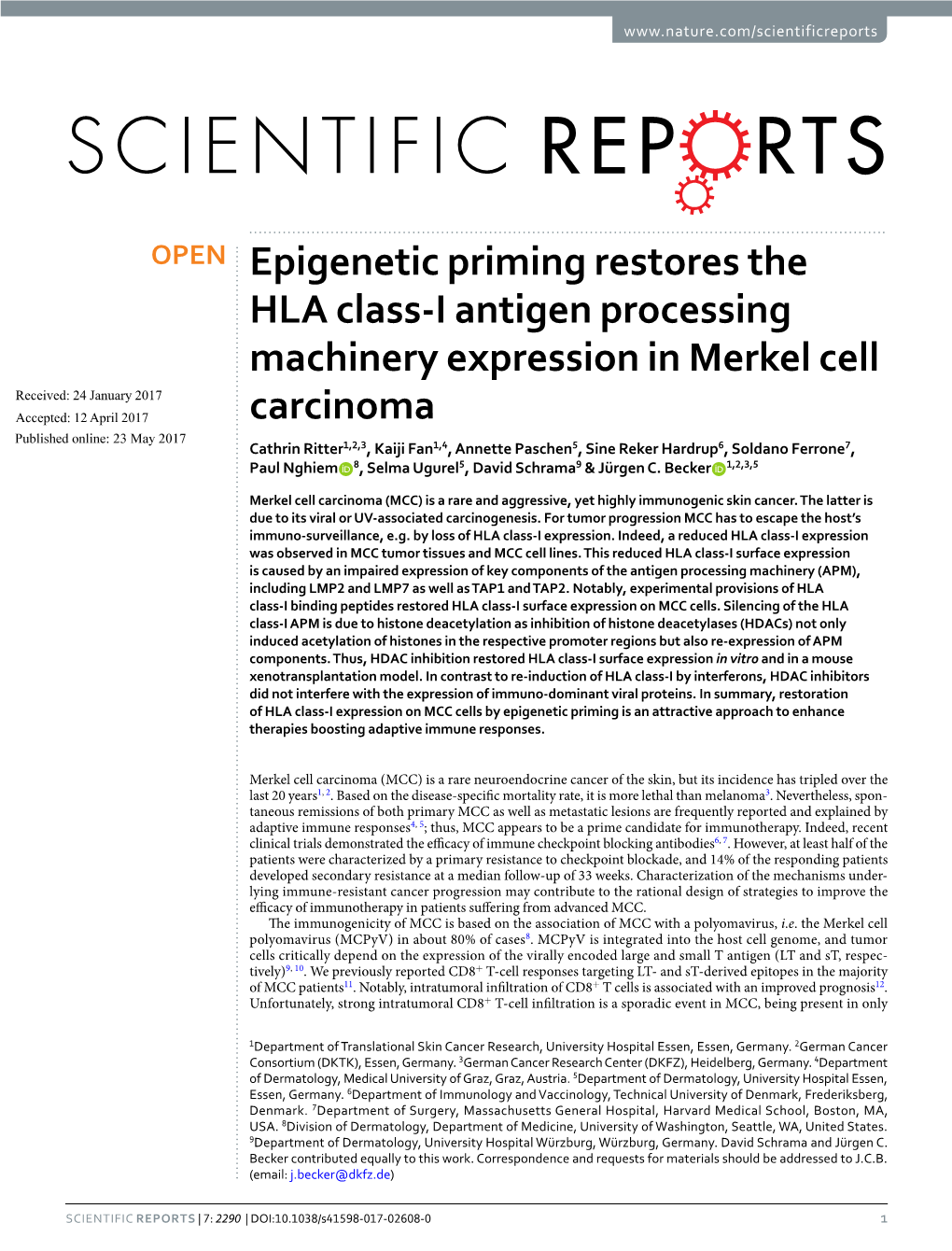 Epigenetic Priming Restores the HLA Class-I Antigen Processing