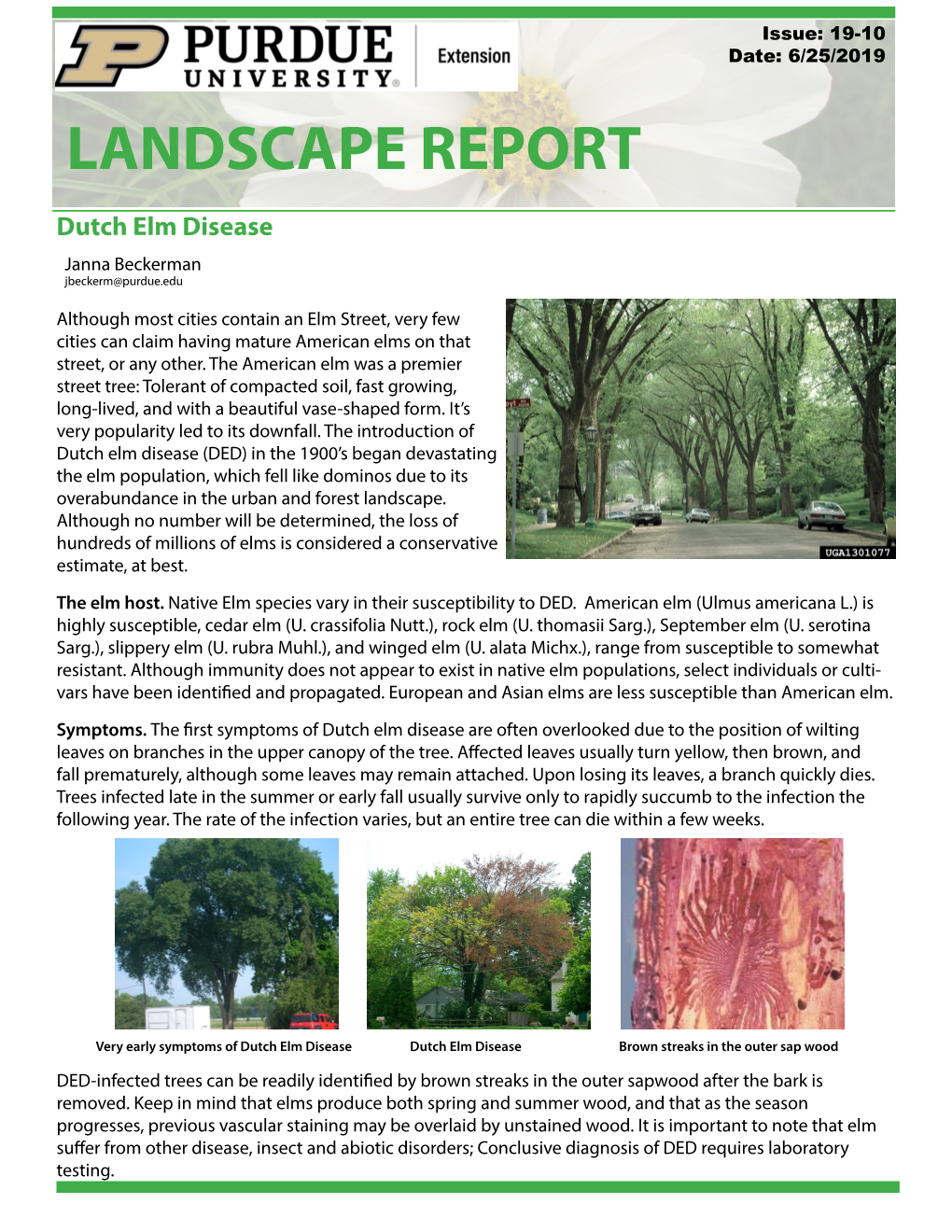 Dutch-Elm-Disease-1.Pdf