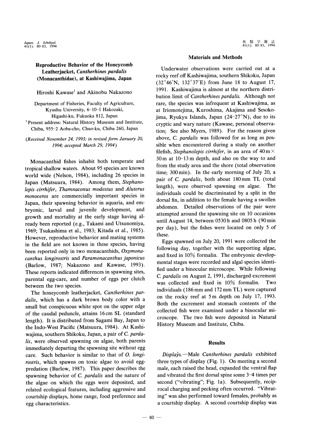 Reproductive Behavior of the Honeycomb Leatherjacket