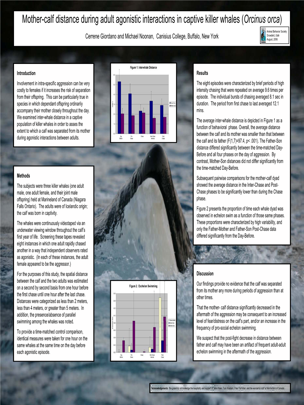 Mother-Calf Distance During Adult Agonistic Interactions in Captive Killer Whales (Orcinus Orca)