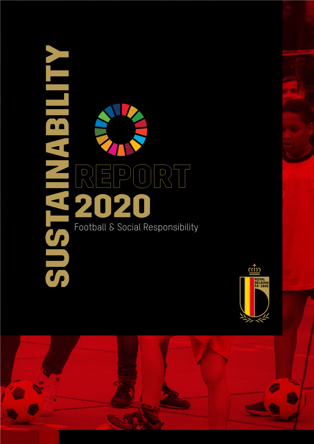 Report 2020 S U S Tainab Ility