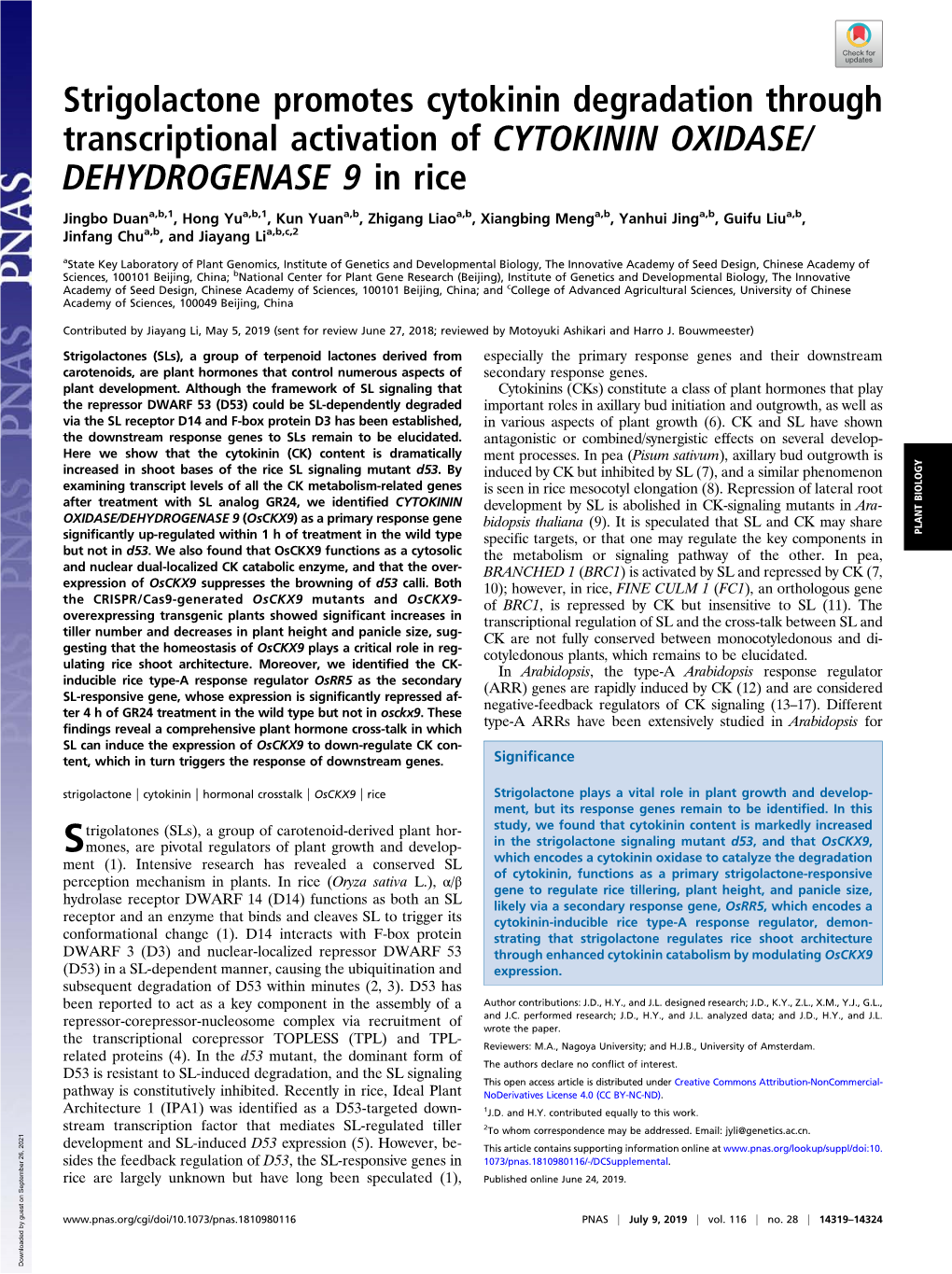 Strigolactone Promotes Cytokinin Degradation Through Transcriptional Activation of CYTOKININ OXIDASE/ DEHYDROGENASE 9 in Rice