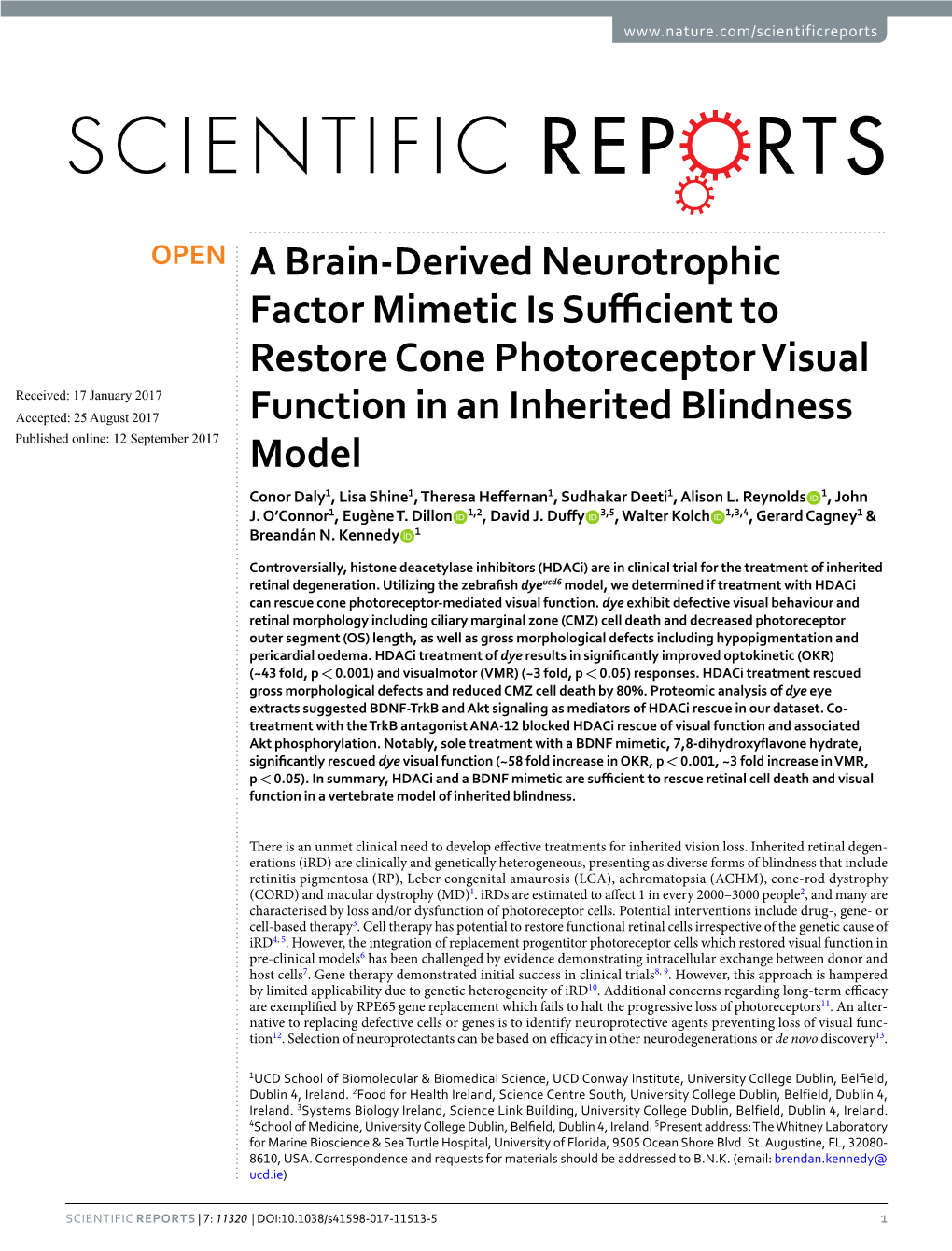 A Brain-Derived Neurotrophic Factor