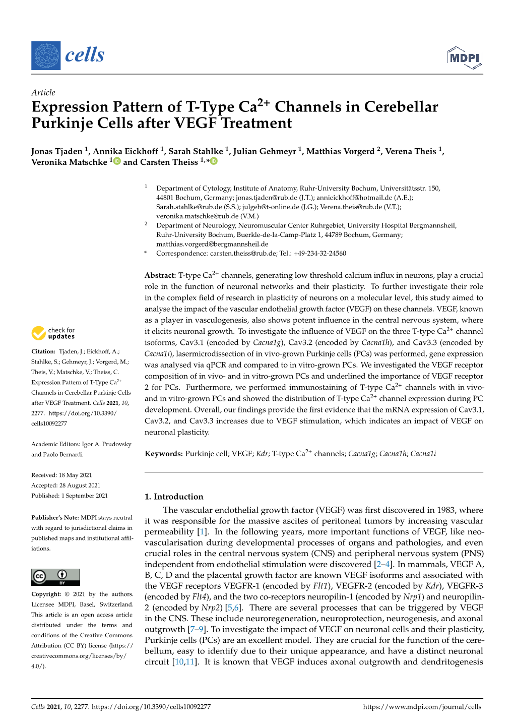 Expression Pattern of T-Type Ca2+ Channels in Cerebellar Purkinje Cells After VEGF Treatment