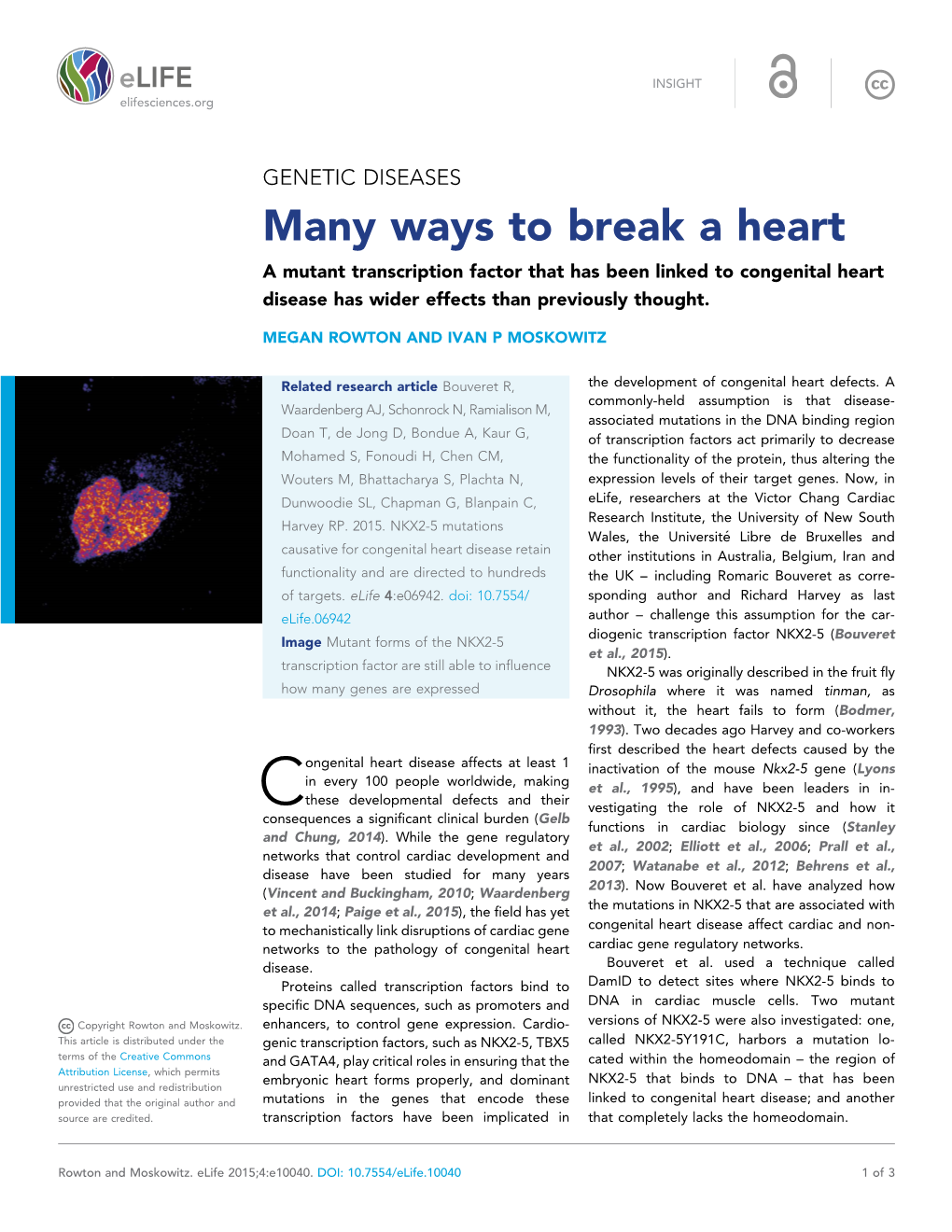Many Ways to Break a Heart a Mutant Transcription Factor That Has Been Linked to Congenital Heart Disease Has Wider Effects Than Previously Thought
