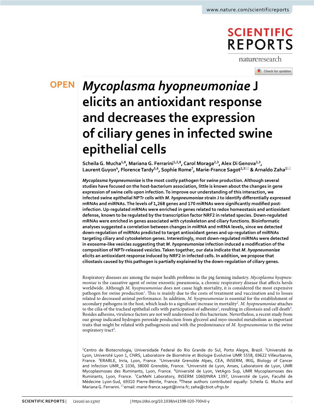 Mycoplasma Hyopneumoniae J Elicits an Antioxidant Response and Decreases the Expression of Ciliary Genes in Infected Swine Epithelial Cells Scheila G