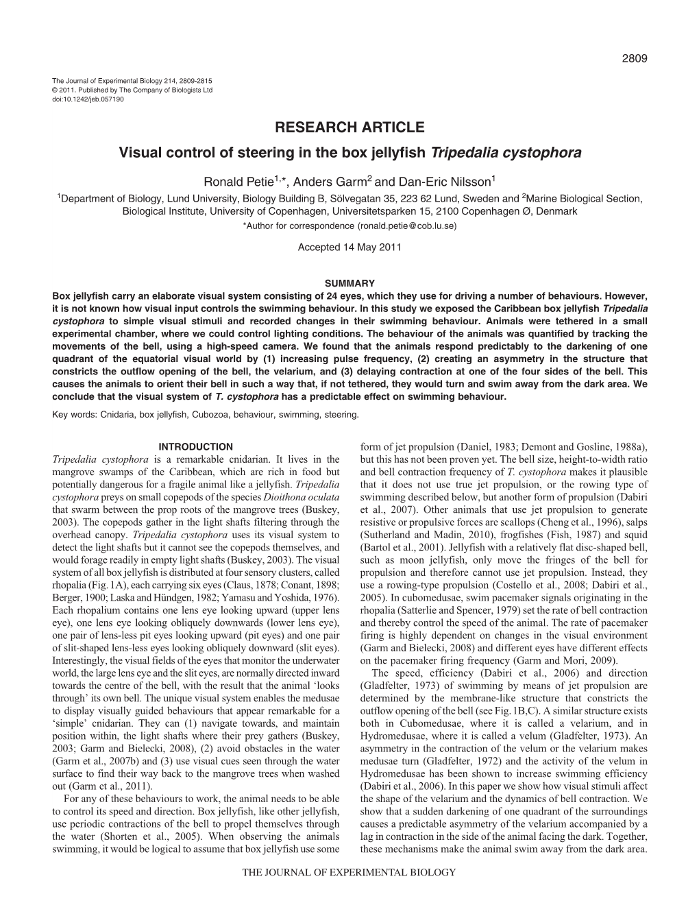 Visual Control of Steering in the Box Jellyfish Tripedalia Cystophora