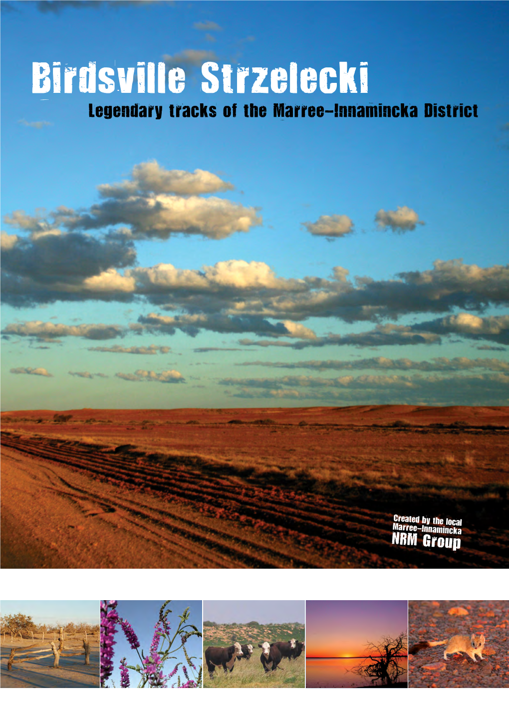 Tracks of the Marree-Innamincka District