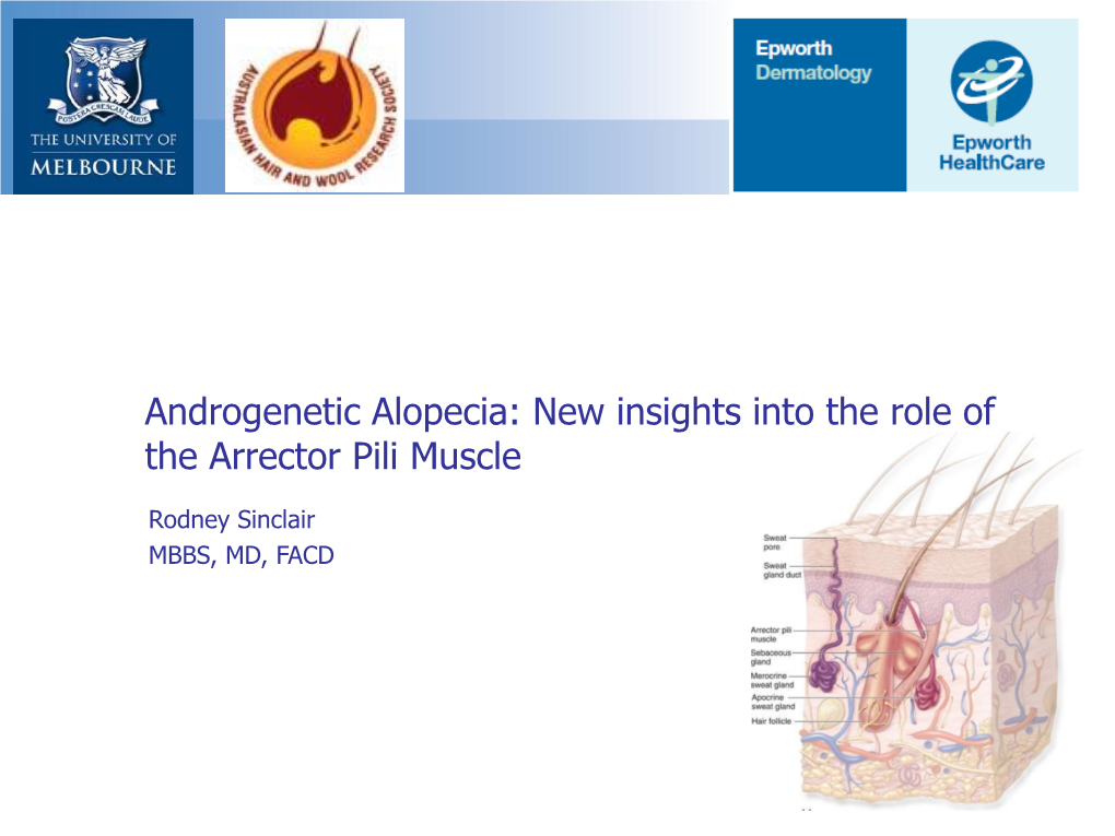 Androgenetic Alopecia: New Insights Into the Role of the Arrector Pili Muscle