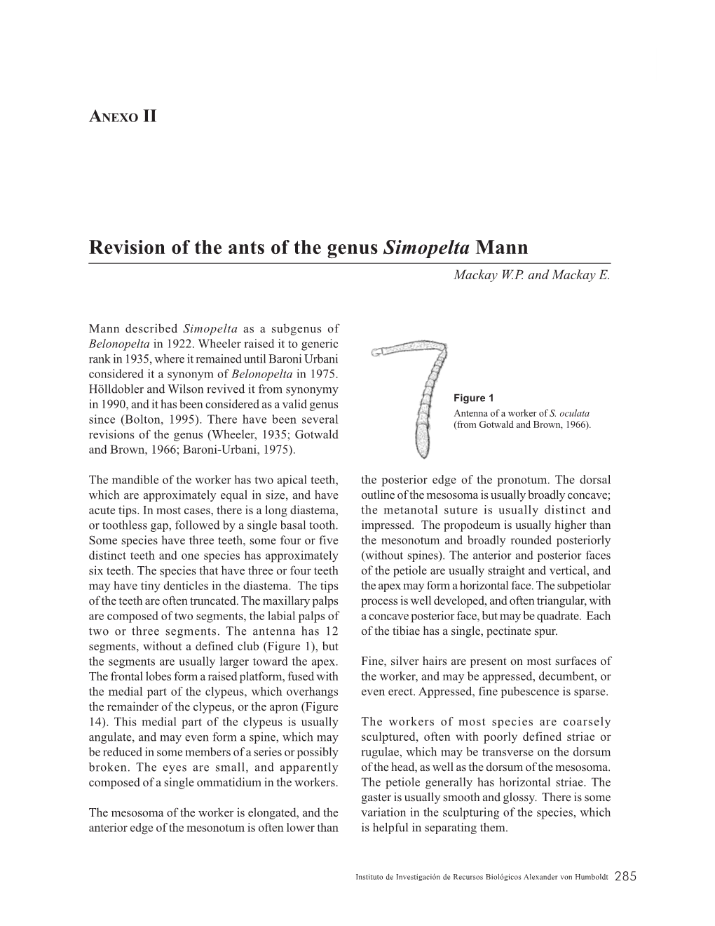 Revision of the Ants of the Genus Simopelta Mann