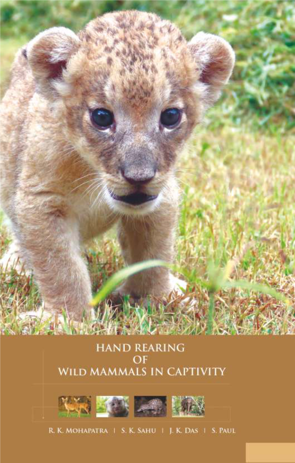 Hand Rearing Captivity.Pdf