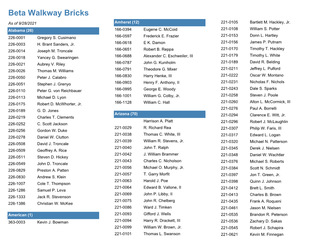 Beta Walkway Bricks