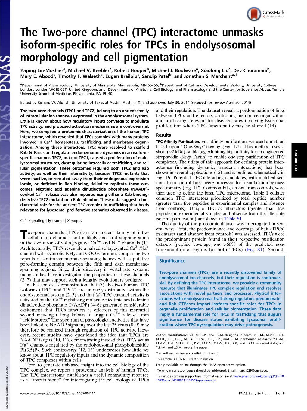 TPC) Interactome Unmasks Isoform-Specific Roles for Tpcs in Endolysosomal Morphology and Cell Pigmentation