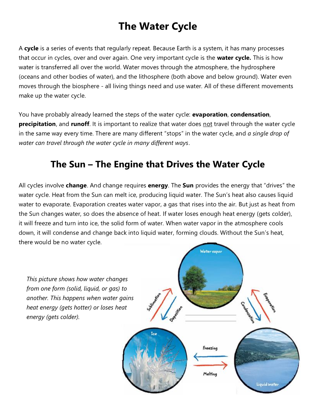 The Water Cycle