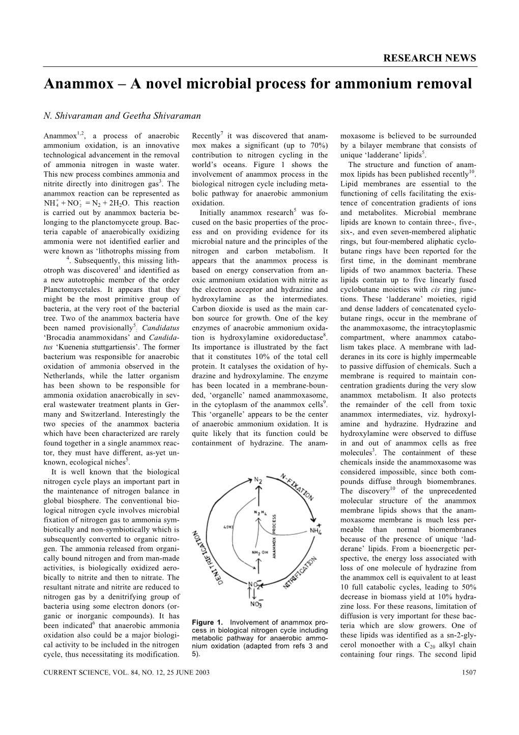 Anammox – a Novel Microbial Process for Ammonium Removal