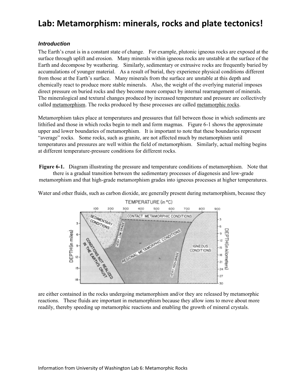 Lab: Metamorphism: Minerals, Rocks and Plate Tectonics!