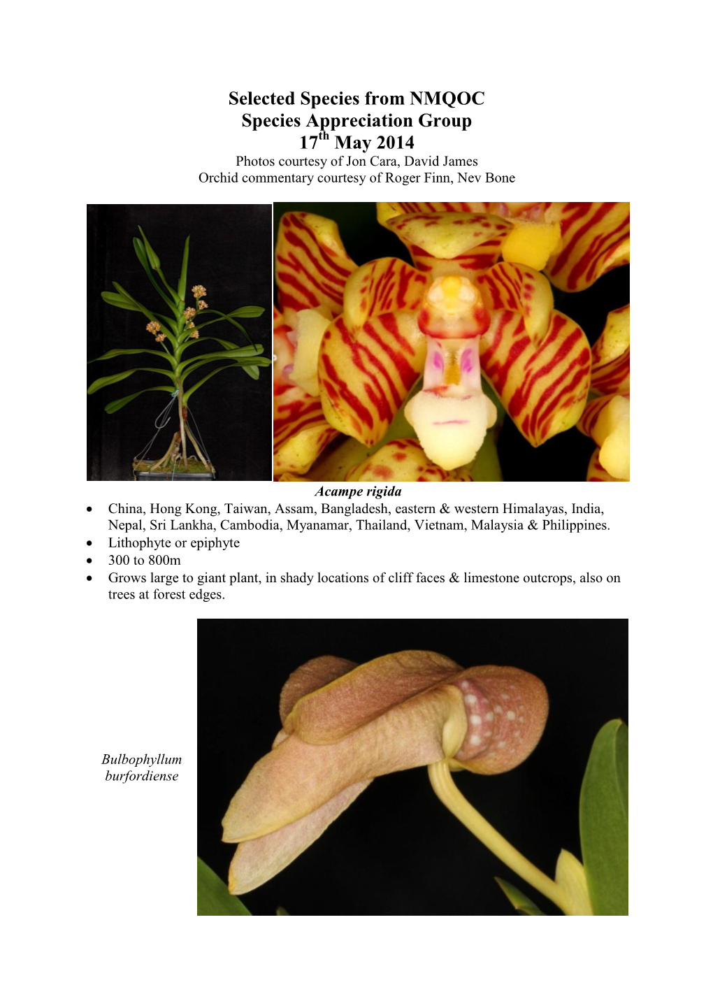 Selected Species from NMQOC Species Appreciation Group 17Th May 2014 Photos Courtesy of Jon Cara, David James Orchid Commentary Courtesy of Roger Finn, Nev Bone