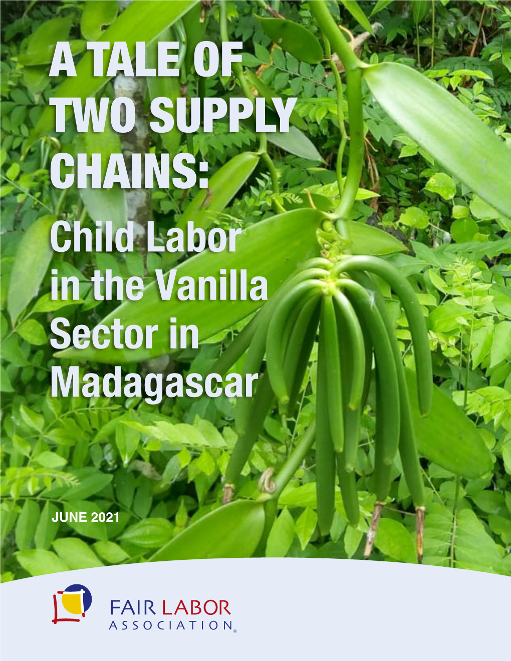 A Tale of Two Supply Chains: Child Labor in the Vanilla Sector in Madagascar