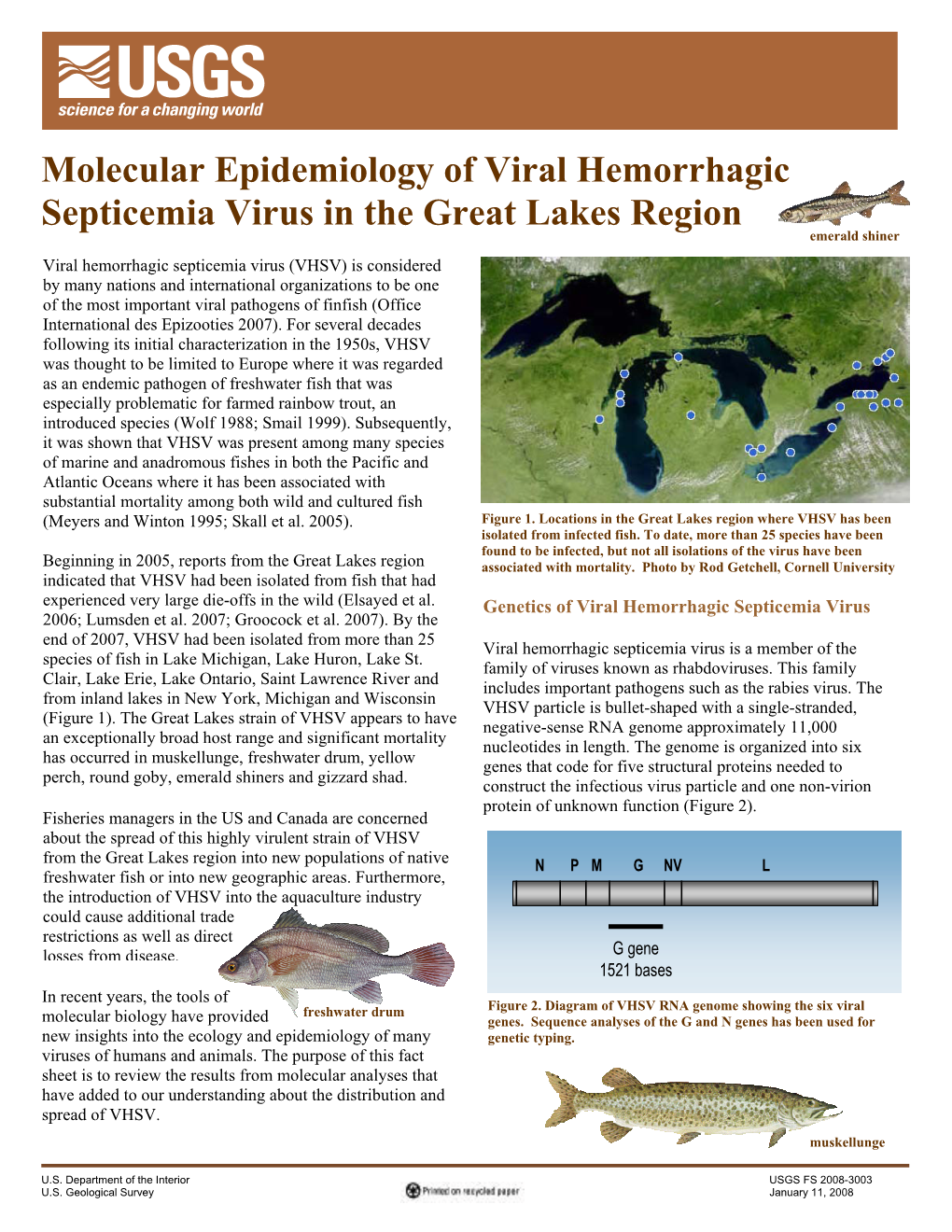 Molecular Epidemiology of Viral Hemorrhagic Septicemia Virus In