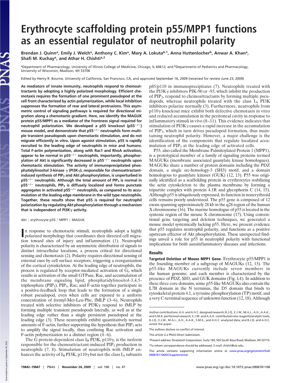 Erythrocyte Scaffolding Protein P55/MPP1 Functions As an Essential Regulator of Neutrophil Polarity