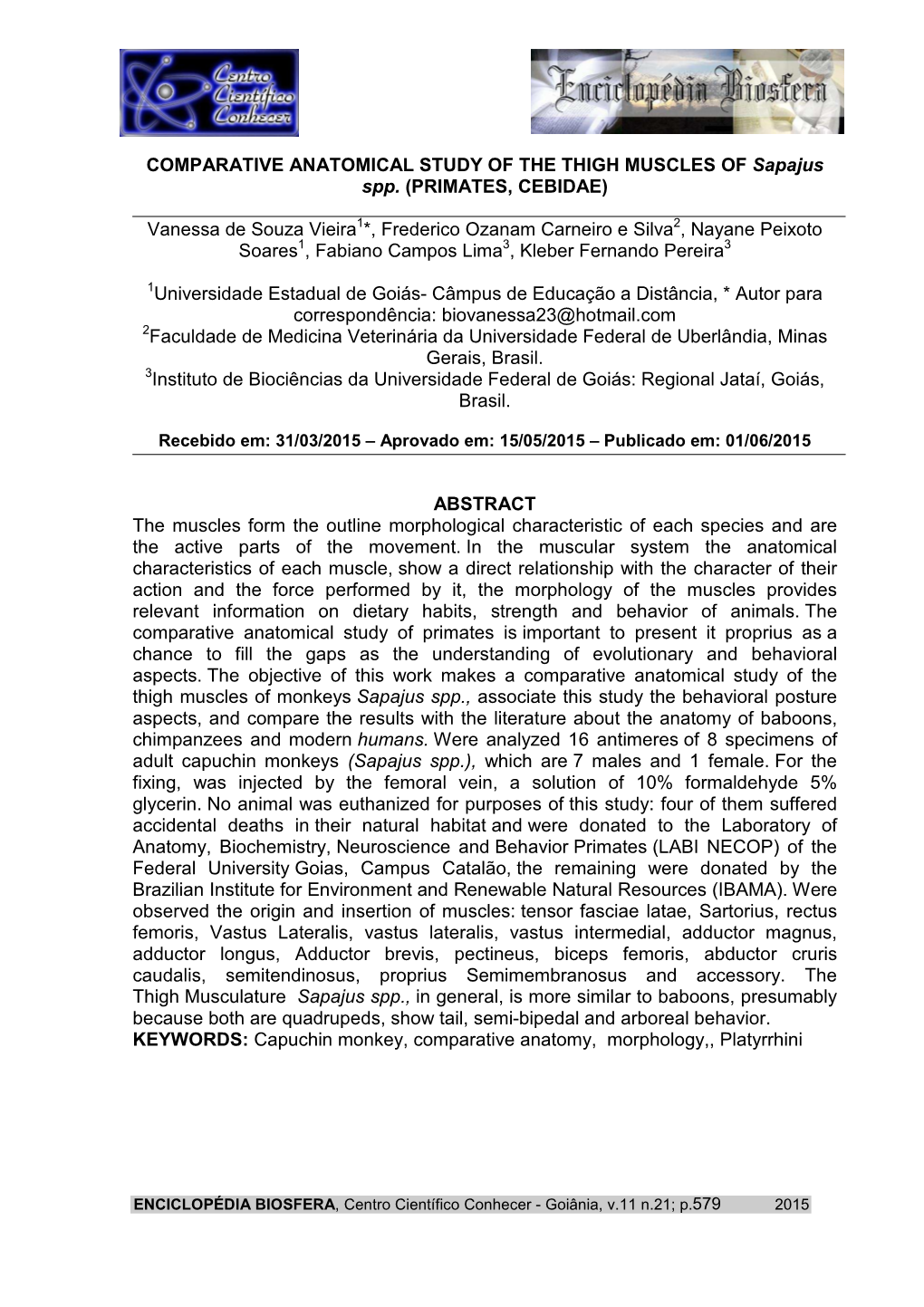 COMPARATIVE ANATOMICAL STUDY of the THIGH MUSCLES of Sapajus Spp