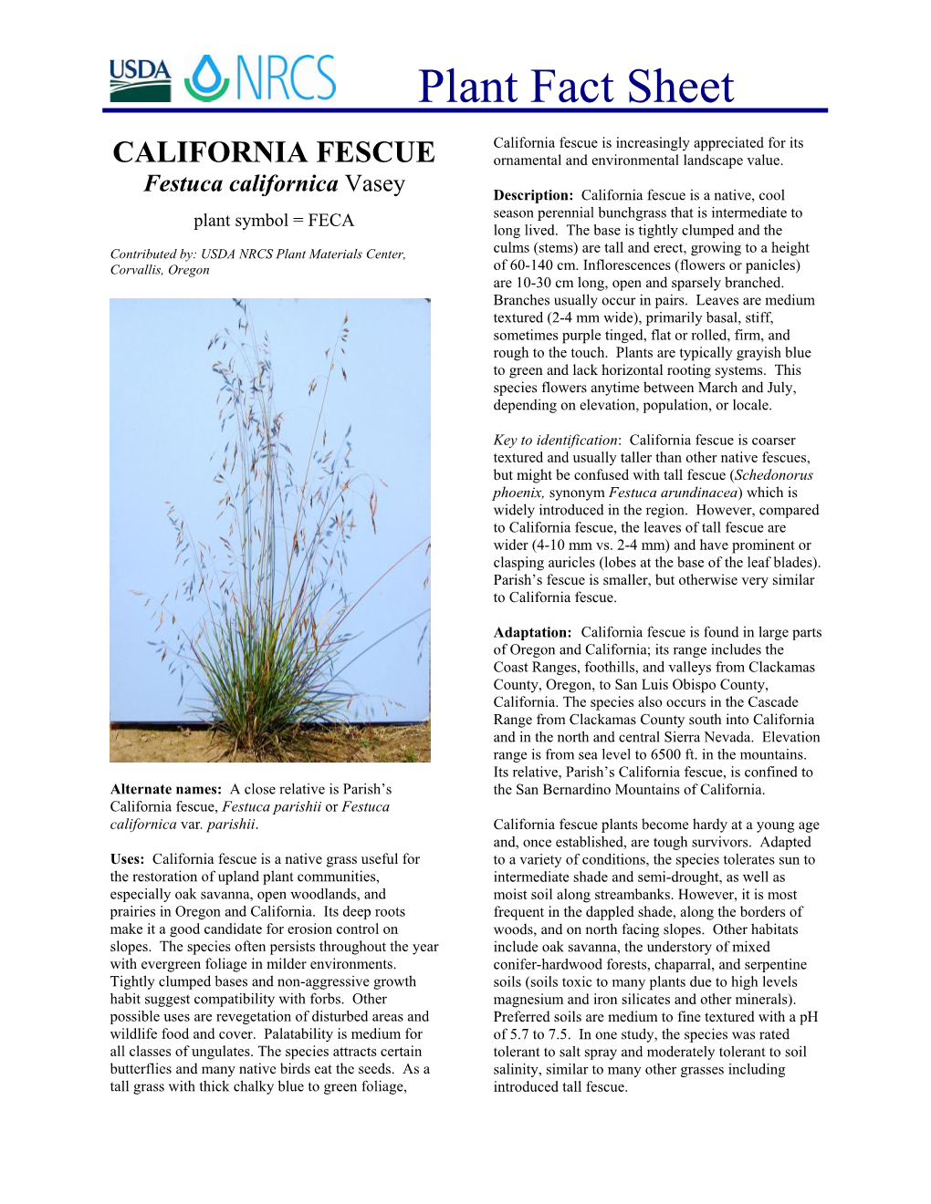 Plant Fact Sheet for California Fescue (Festuca Californica)