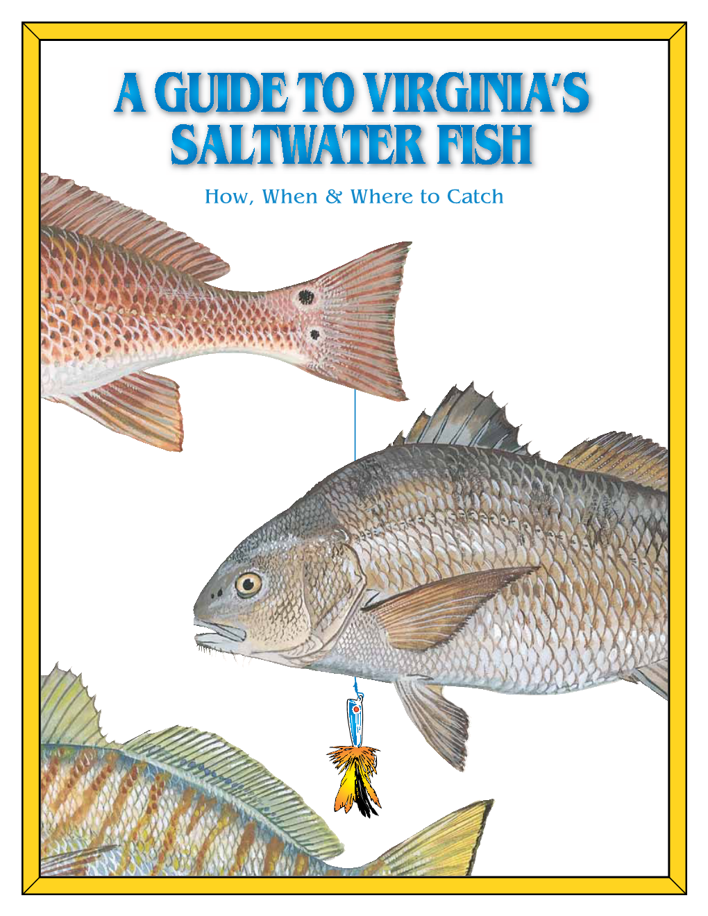 How, When and Where to Catch Virginia's Saltwater Fish