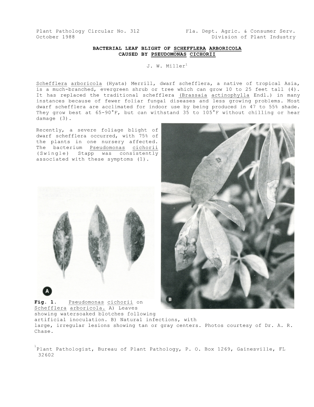 Plant Pathology Circular No. 312 Fla. Dept. Agric. & Consumer Serv