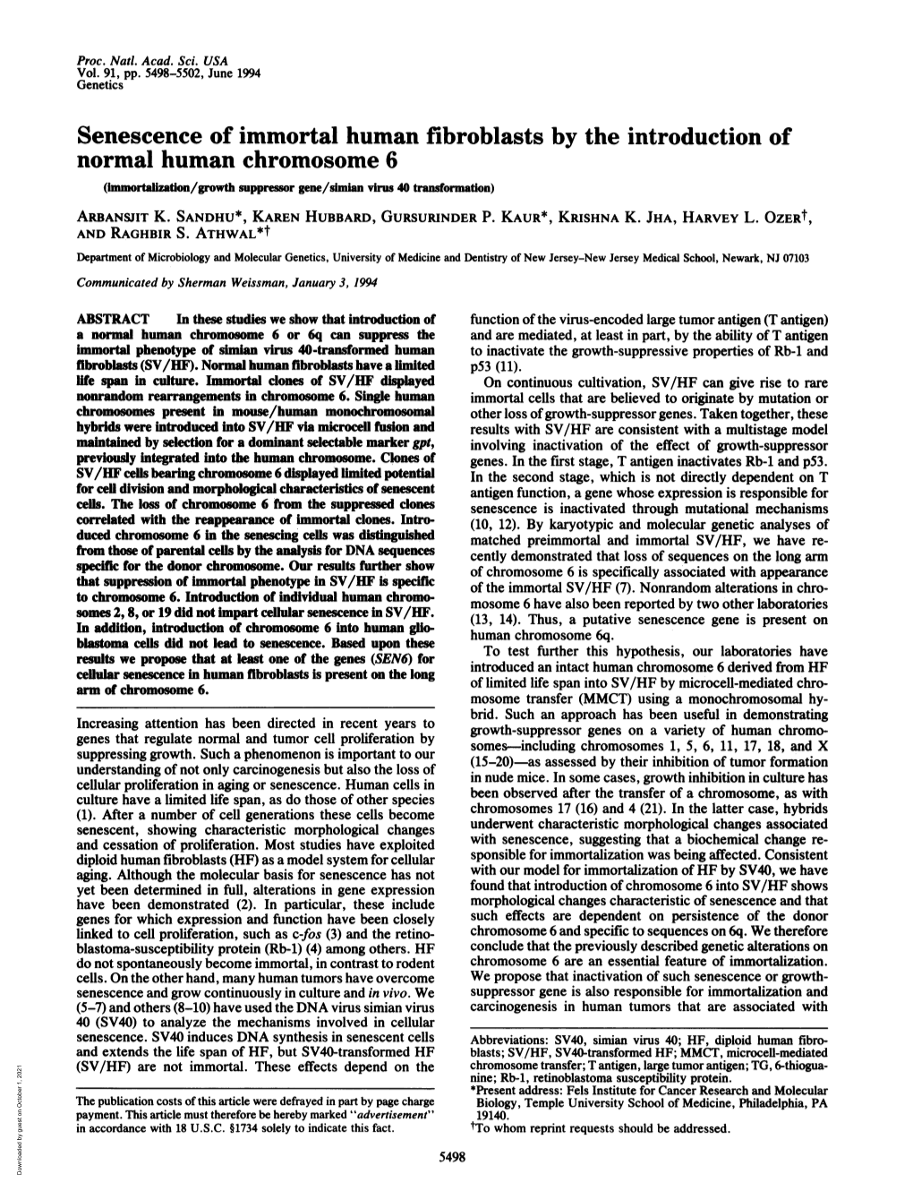 Senescence of Immortal Human Fibroblasts by the Introduction of Normal Human Chromosome 6