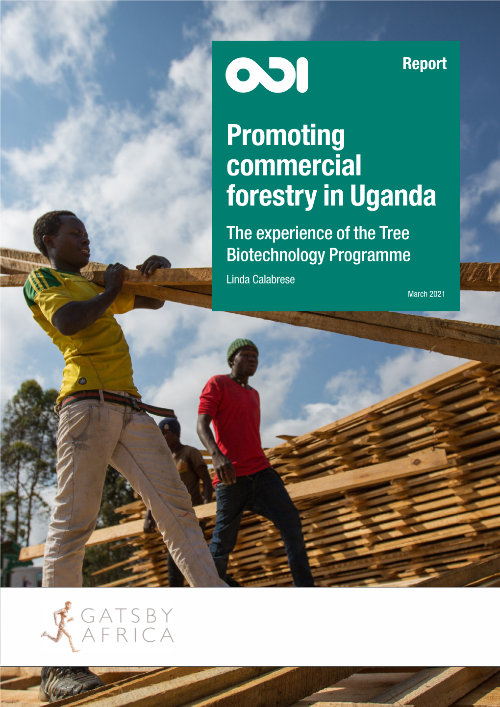 Promoting Commercial Forestry in Uganda